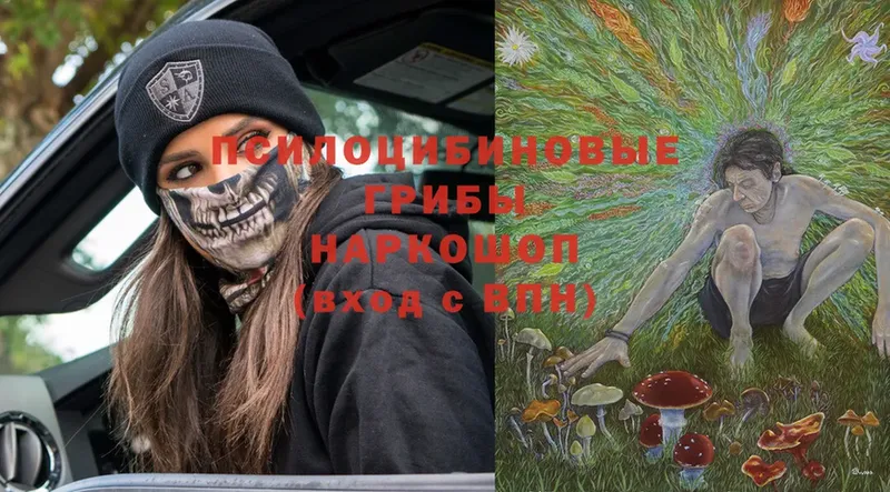 Псилоцибиновые грибы Psilocybine cubensis  Алексеевка 